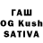 ТГК Wax Mamed Gasimov