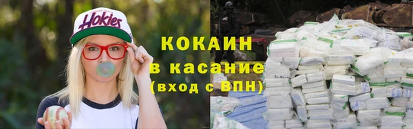 мяу мяу мука Новозыбков