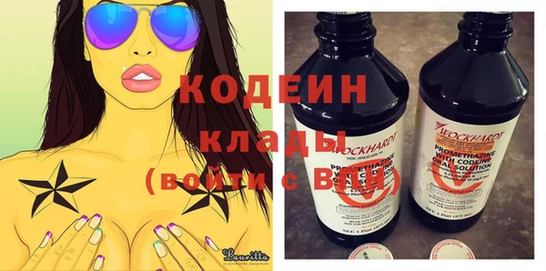 соль ск Няндома