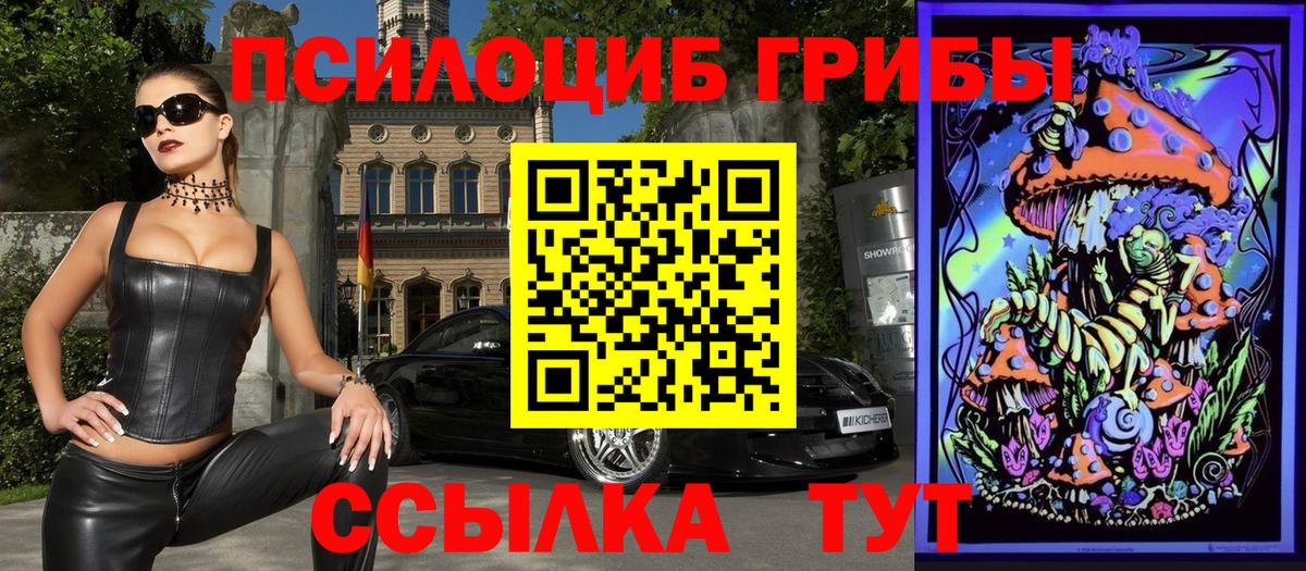 Галлюциногенные грибы Psilocybe  Изобильный  Псилоцибиновые грибы GOLDEN TEACHER 