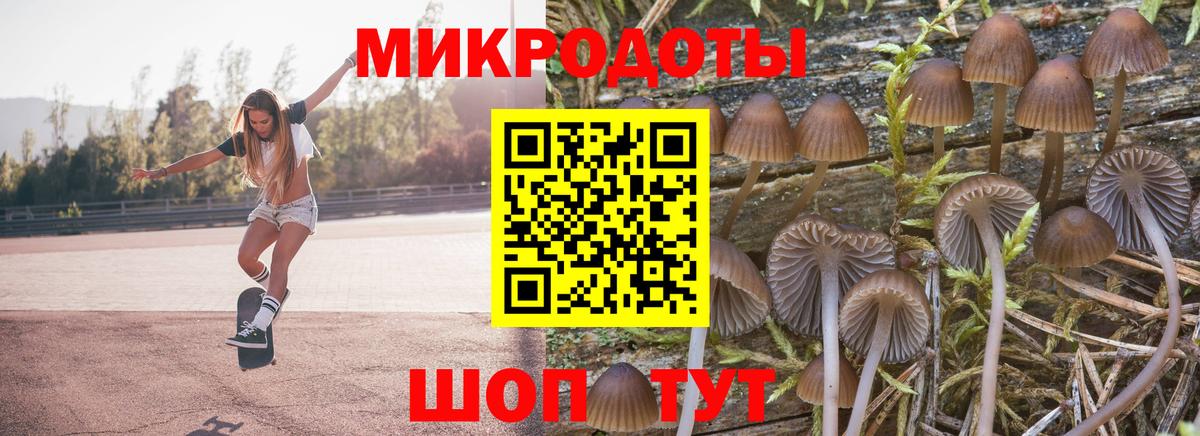 Псилоцибиновые грибы прущие грибы  Вход с VPN  Псилоцибиновые грибы Magic Shrooms  Изобильный 